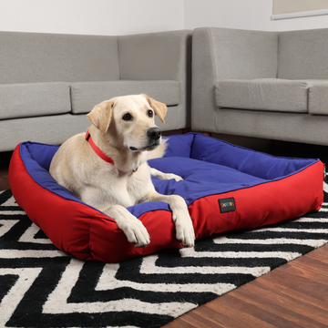 Skatrs Square Shaped Bed for Dogs & Cats (Red & Blue)