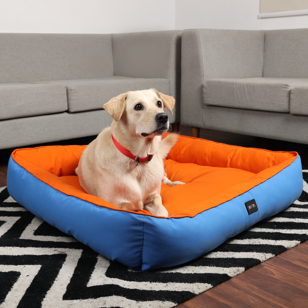 Skatrs Square Shaped Bed for Dogs & Cats (Orange & Blue) Both-Bedding, Mats & Travel Supplies Skatrs