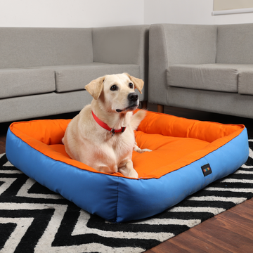 Skatrs Square Shaped Bed for Dogs & Cats (Orange & Blue)