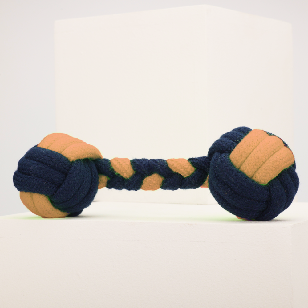 Skatrs Dumbbell Shaped Rope Chew Toy for Dogs and Cats (Blue/Orange) Both-Toys Skatrs 6.5cm