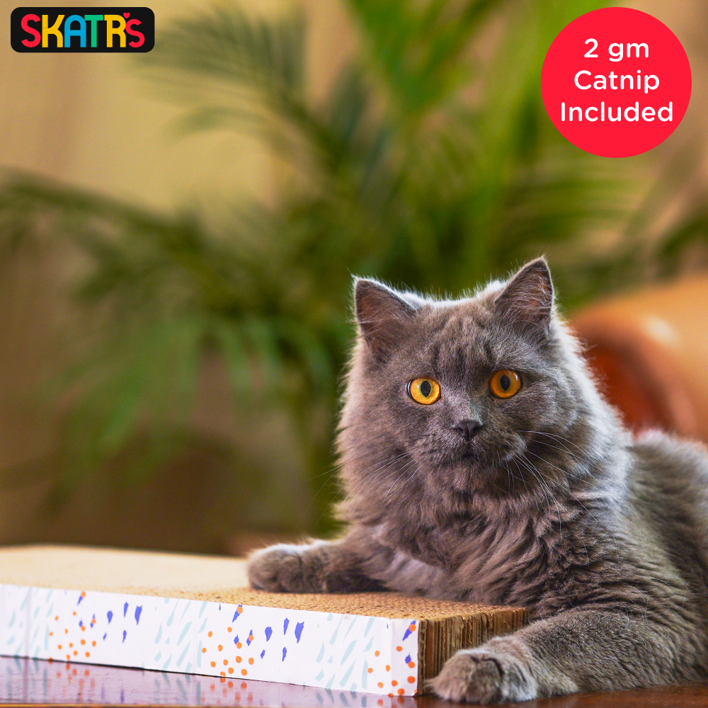 Skatrs Claw Comfort Cat Scratcher with 2g Premium Catnip Free Cats-Toys Skatrs