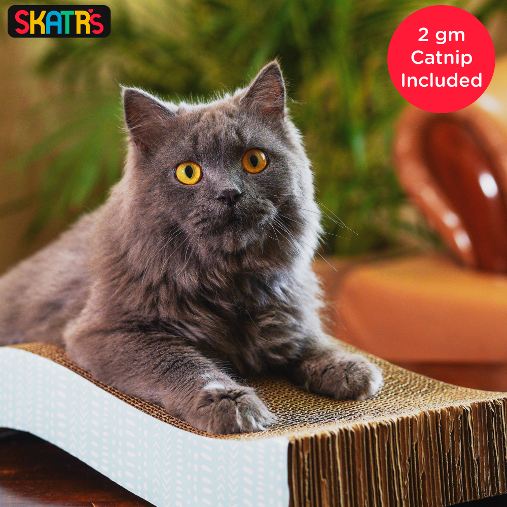 Skatrs Purrfect Wave Cat Scratcher with 2g Premium Catnip Free