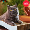 Skatrs Purrfect Wave Cat Scratcher with 2g Premium Catnip Free