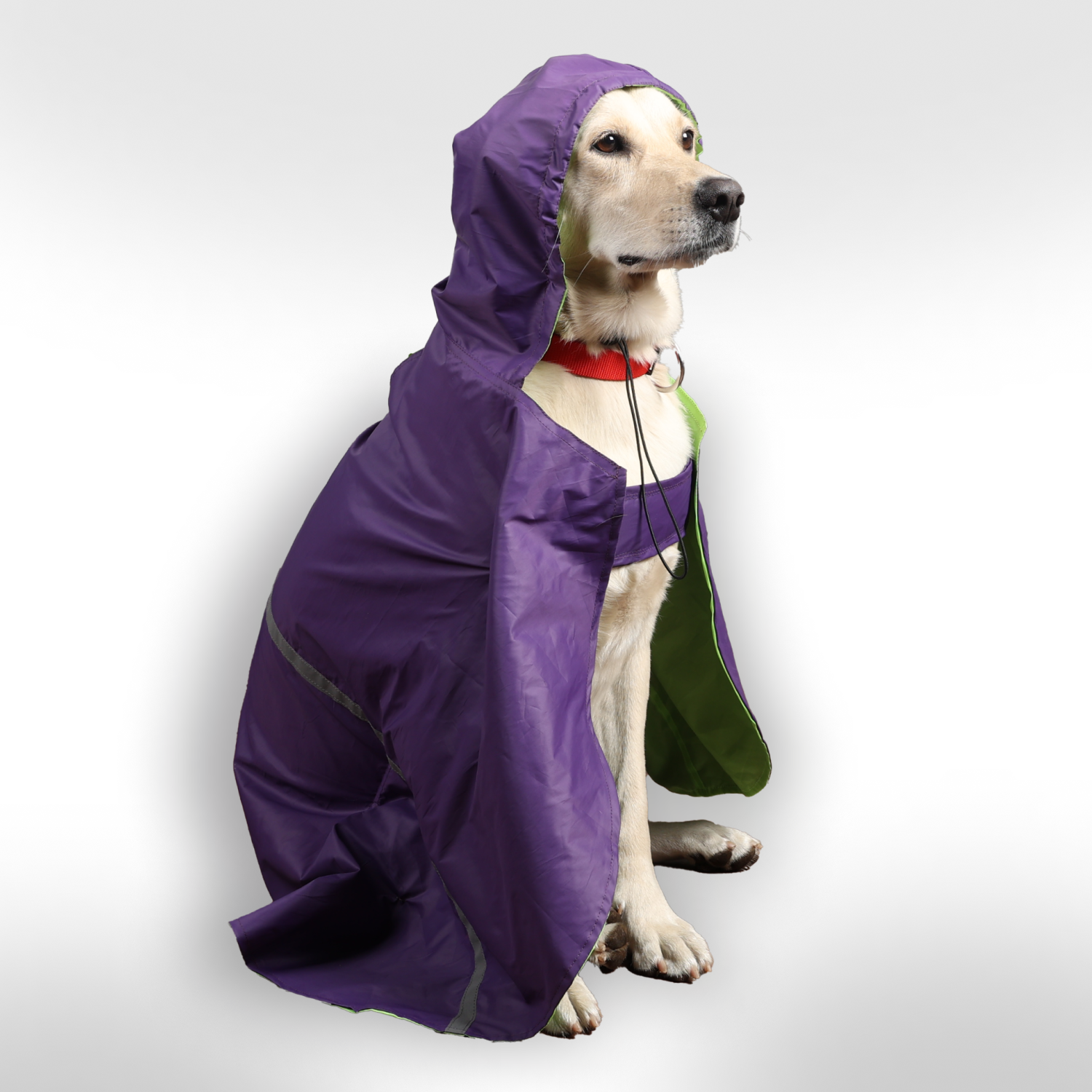 Skatrs Full Coverage Cape Style Raincoat for Dogs and Cats (Purple)