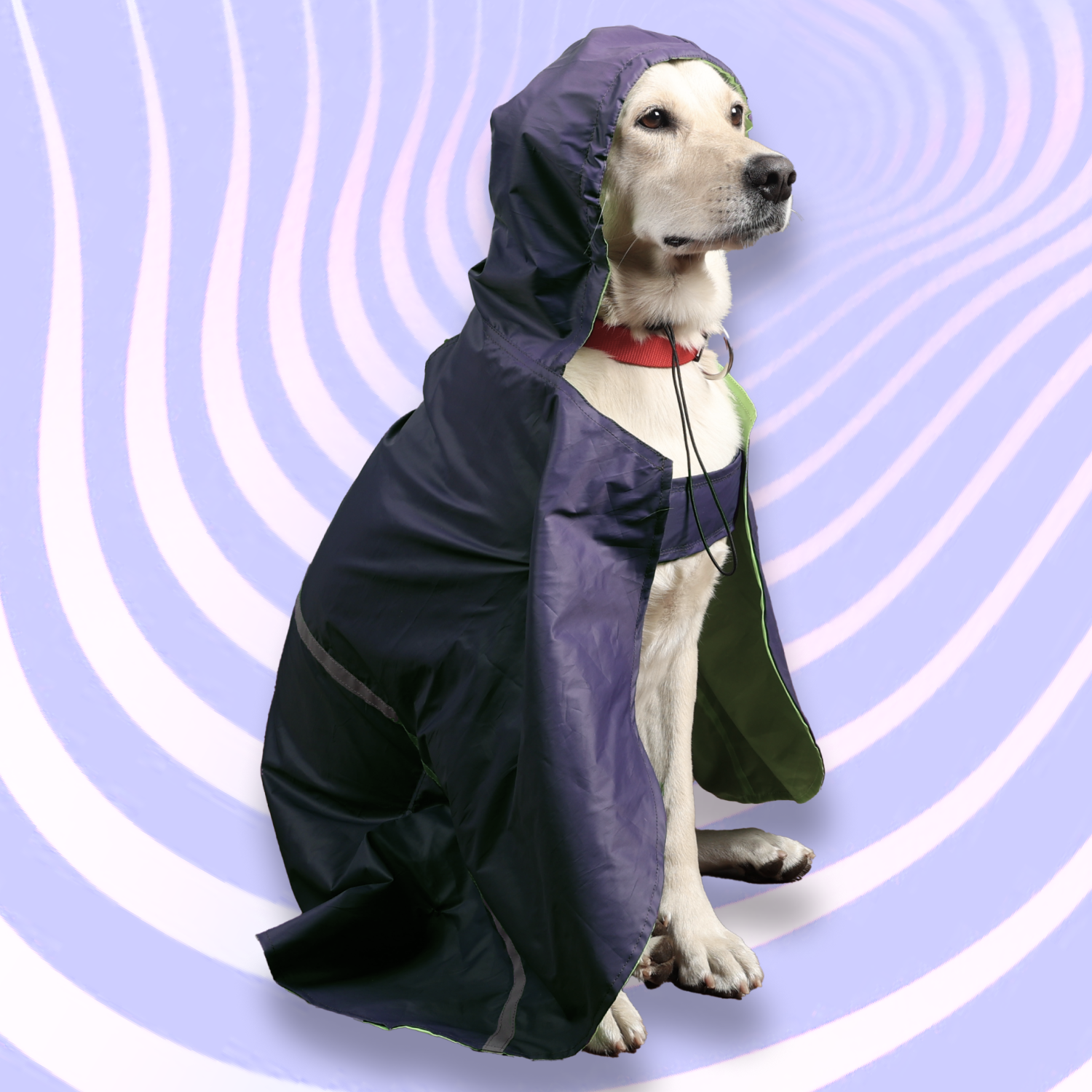 Skatrs Full Coverage Cape Style Raincoat for Dogs and Cats (Blue) Both-Clothing & Accessories Skatrs S