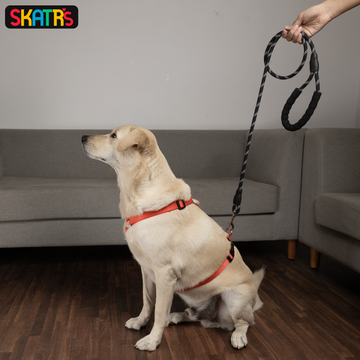 Skatrs Reflective Nylon Rope Leash for Dogs (Black/White)