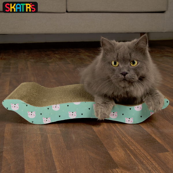 Skatrs Scratchy Time fun combo for Cats