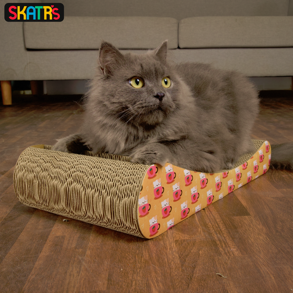 Skatrs Scratch Me Maybe Cat Scratcher with 2g Premium Catnip Free Cats-Toys Skatrs