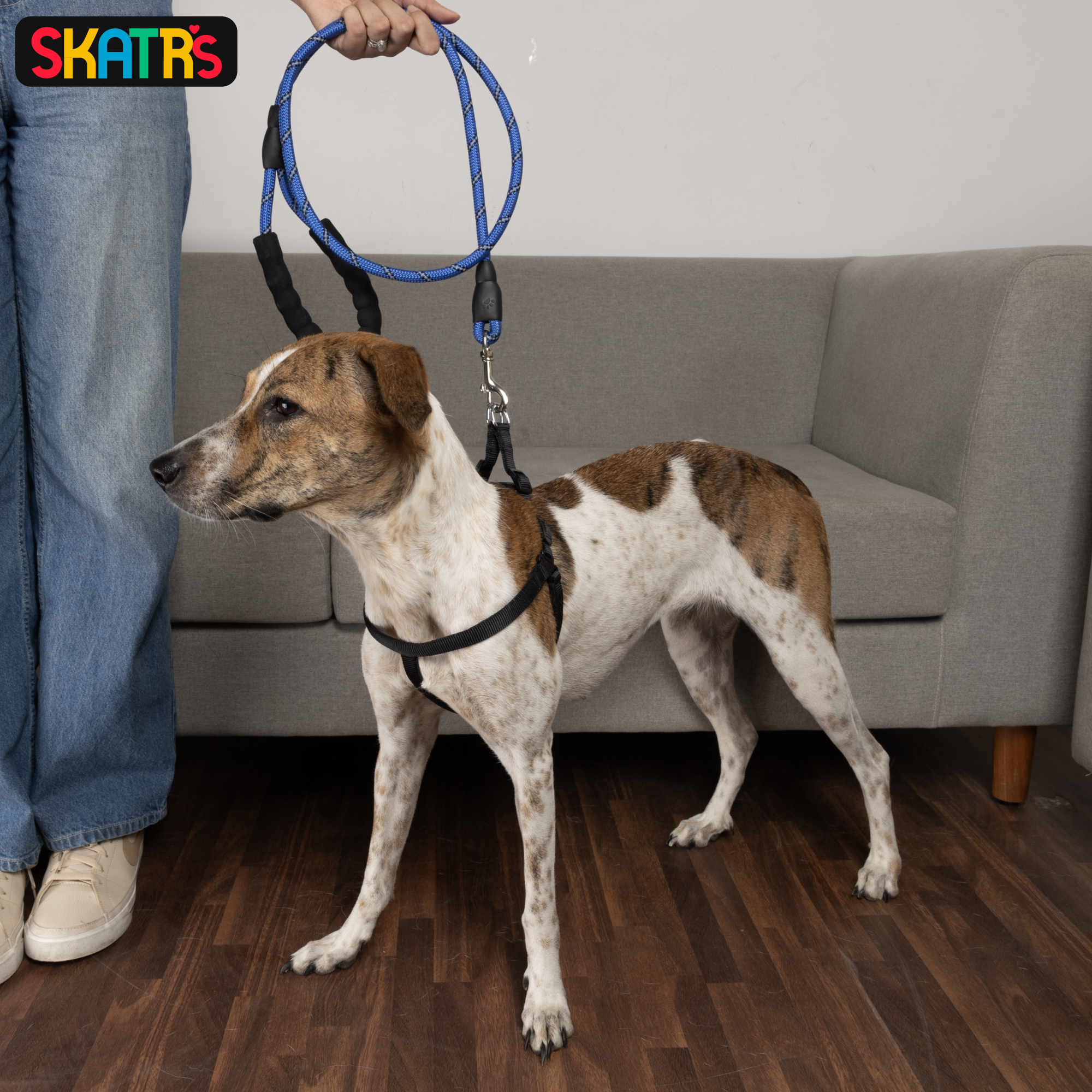 Skatrs Reflective Nylon Rope Leash for Dogs (Blue)