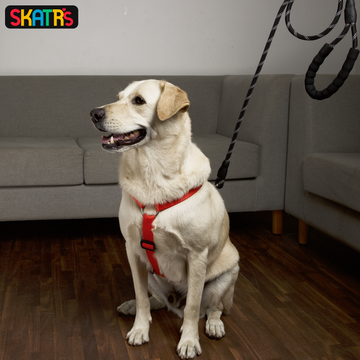 Skatrs Premium H Harness for Dogs (Coral Red)