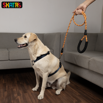 Skatrs Reflective Nylon Rope Leash for Dogs (Orange)