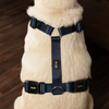 Skatrs Premium H Harness for Dogs (Midnight Blue) Dogs-Collar, Leashes, harnesses Skatrs L:18-39in Neck