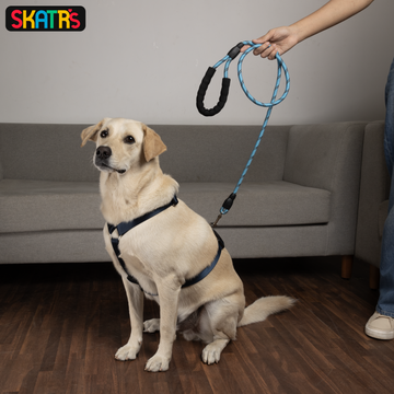 Skatrs Reflective Nylon Rope Leash for Dogs (Sky Blue)