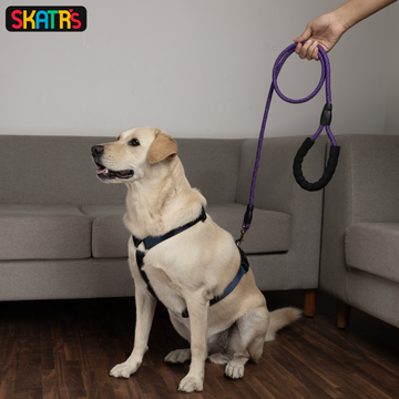 Skatrs Reflective Nylon Rope Leash for Dogs (Purple)