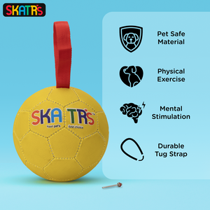 Skatrs Football Training Ball Toy With Holding Loops for Dogs | For Aggresive Chewers | Medium and Large Breeds