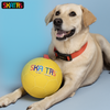 Skatrs Football Training Ball Toy With Holding Loops for Dogs | For Aggresive Chewers | Medium and Large Breeds Dogs-Toys Skatrs