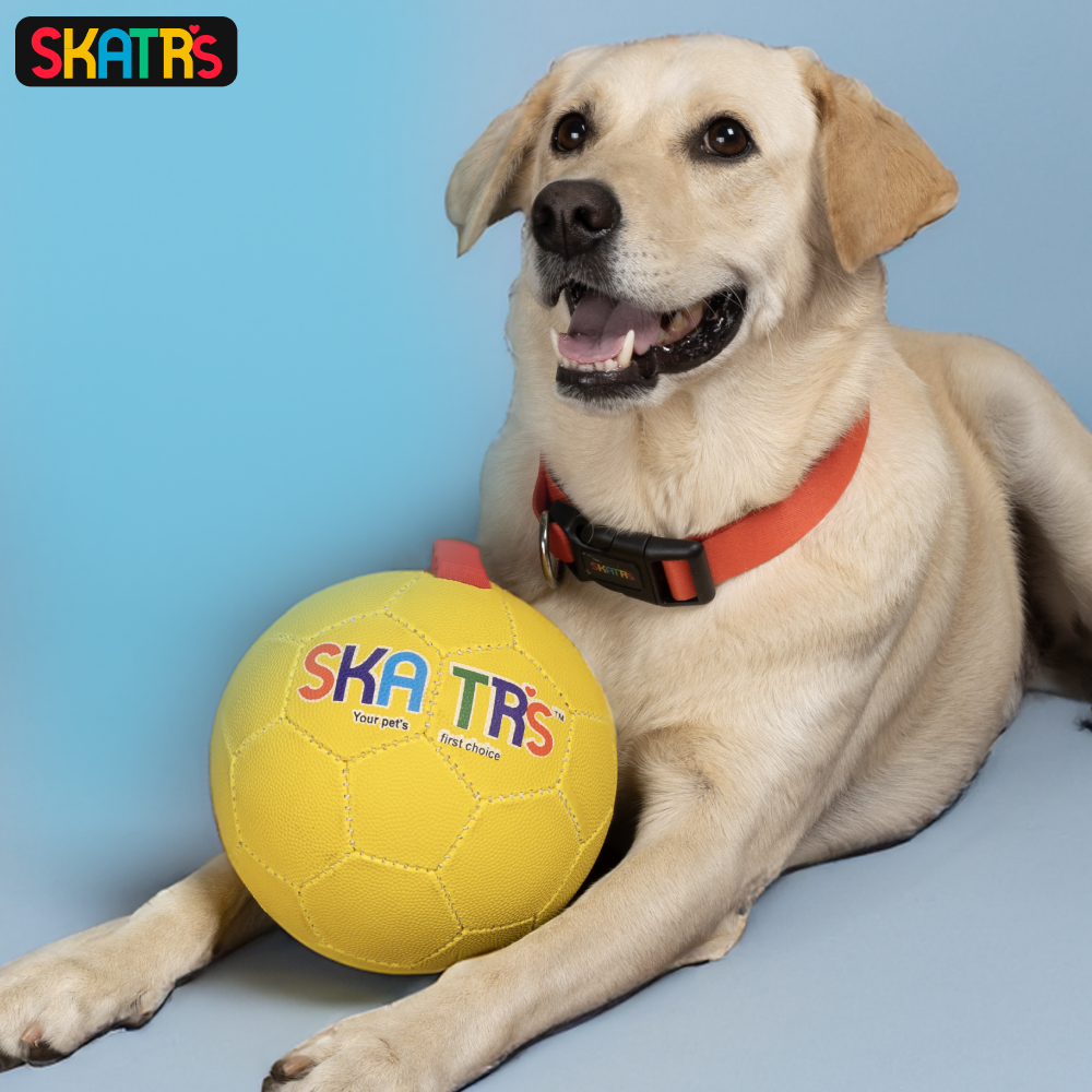 Skatrs Super Ball Toy for Dogs Dogs-Toys Skatrs