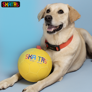 Skatrs Football Training Ball Toy With Holding Loops for Dogs | For Aggresive Chewers | Medium and Large Breeds