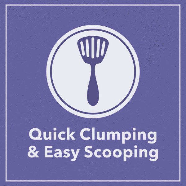 Scoopy Quick Clumping Lavender Scented Litter with Skatrs Litter Tray and Poop Bag for Cats
