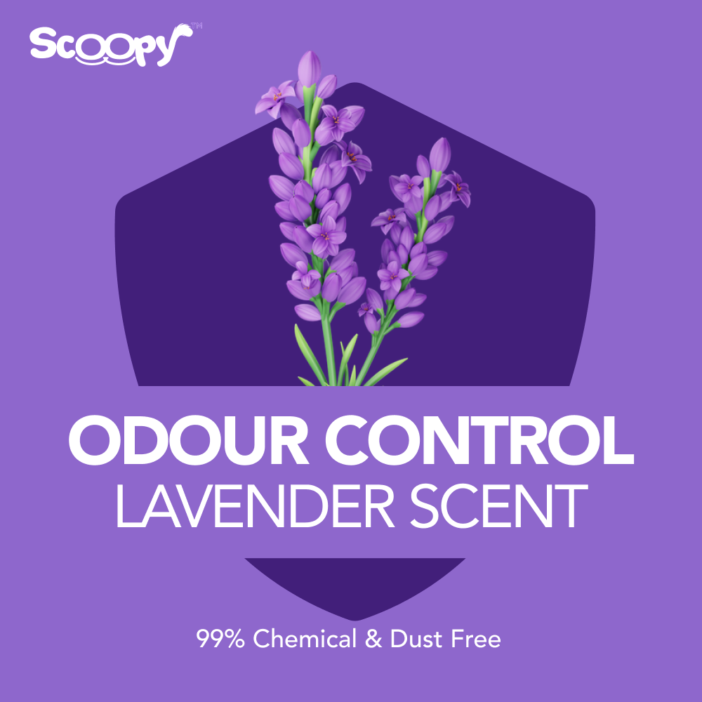 Scoopy Quick Clumping Lavender Scented Cat Litter|100% Natural