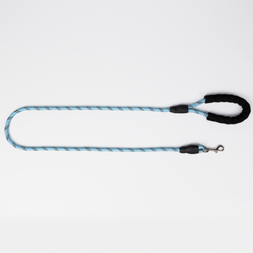 Skatrs Reflective Nylon Rope Leash for Dogs (Sky Blue)