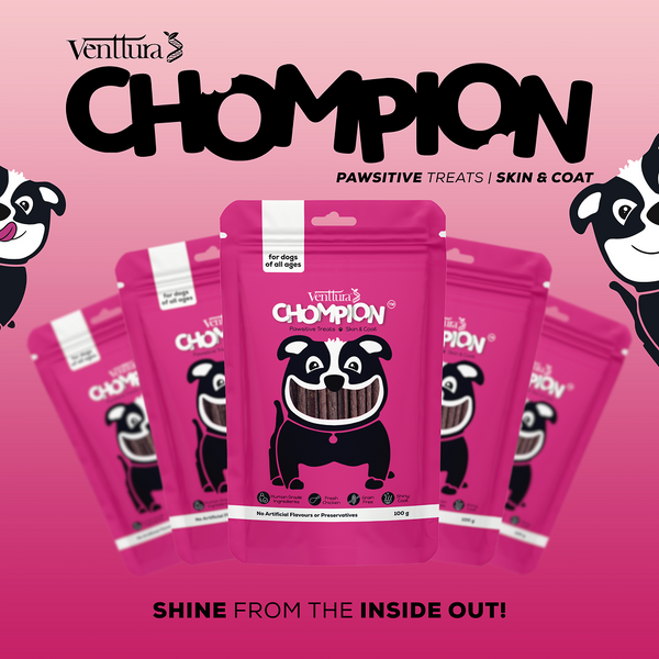 Venttura Chompion Pawsitive Skin and Coat Dog Treats