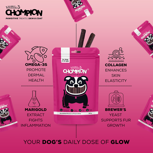 Venttura Chompion Pawsitive Skin and Coat Dog Treats
