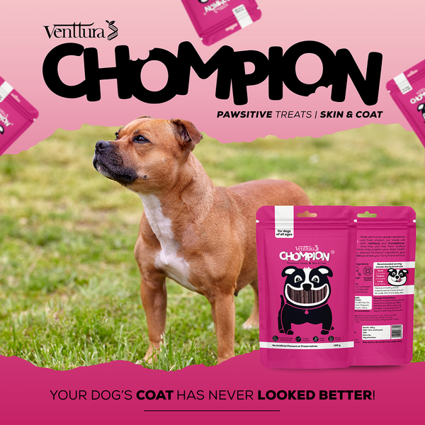 Venttura Chompion Pawsitive Skin and Coat Dog Treats