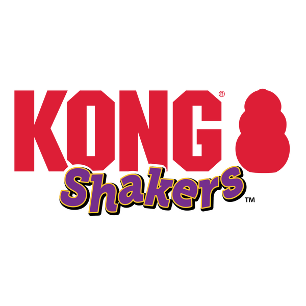 Kong Shakers Dragon Toy for Dogs (Green)
