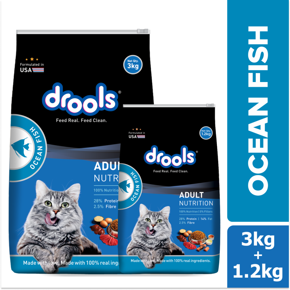 Drools kitten food online
