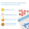 Nootie+ Omega Rich Skin & Coat Support Chews Supplement for Dogs Dogs-Health & Wellness Nootie