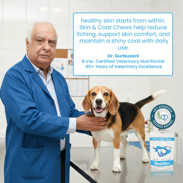 Nootie+ Omega Rich Skin & Coat Support Chews Supplement for Dogs