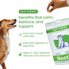 Nootie+ Digestive & Probiotic Gut Chew Supplement for Dogs Dogs-Health & Wellness Nootie