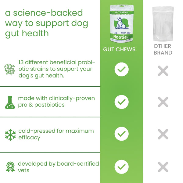 Nootie+ Digestive & Probiotic Gut Chew Supplement for Dogs