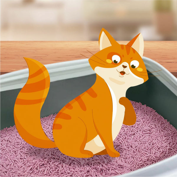 Scents of Freshness Premium Tofu Cat Litter for Cats (Lavender)