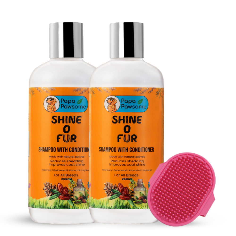 Papa Pawsome Shine O' Fur Shampoo with Conditioner and Palm Brush for Dogs Dogs-Grooming Supplies Papa Pawsome Pack of 3