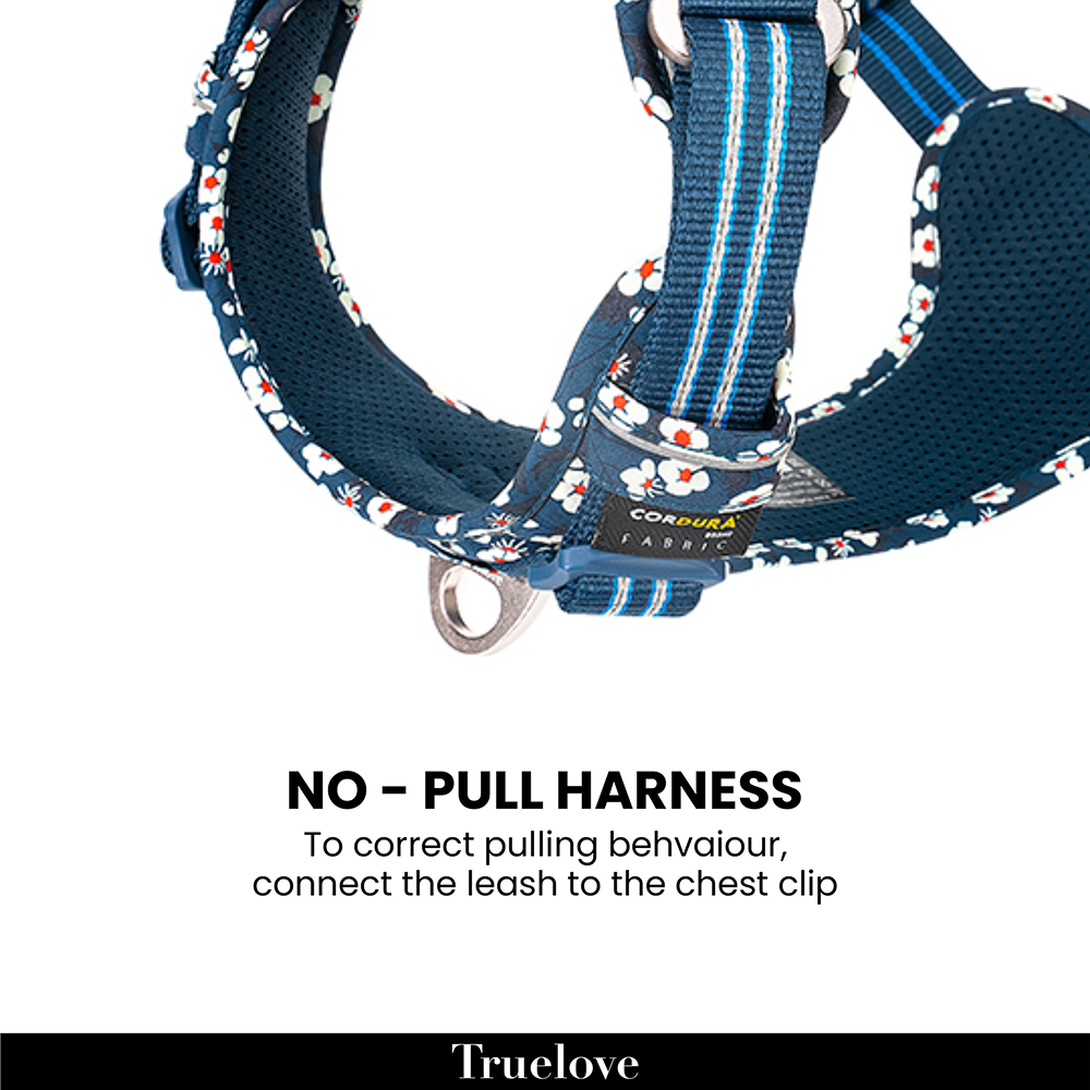 Truelove Floral No Pull Cordura Fabric Harness for Dogs (Saxony Blue) Dogs-Collar, Leashes, harnesses True Love