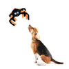 Zippy Paws Halloween Spider Grunterz Plush Toy for Dogs Dogs-Toys Zippy Paws