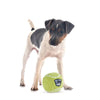 Zippy Paws SportsBallz Tennis Ball Plush Toy for Dogs Dogs-Toys Zippy Paws