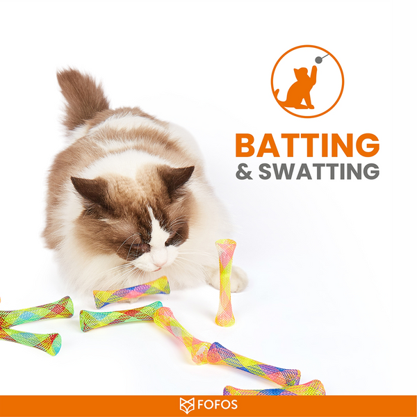 Barkbutler x Fofos Spring Tube Catnip Toy for Cats
