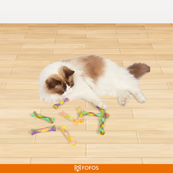 Barkbutler x Fofos Spring Tube Catnip Toy for Cats