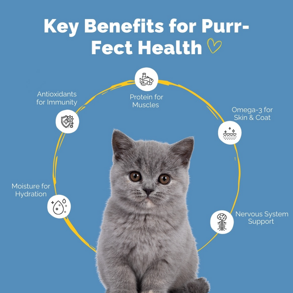 PetStrong Premium Wet Food Variety Pack Combo for Cats