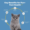 PetStrong Sardine & Mackerel and Seaweed in Gravy Cat Wet Food Combo Cats-Wet Food PetStrong