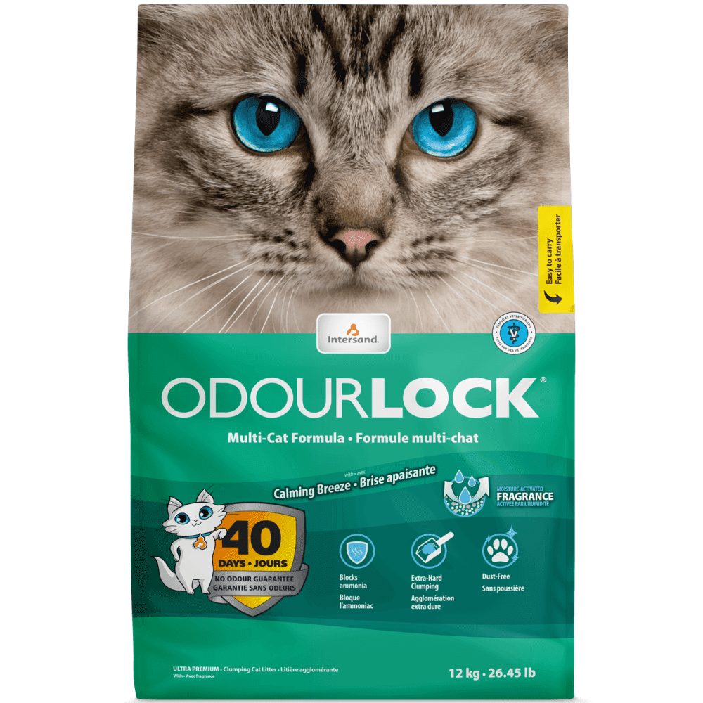 Intersand Scented Odour Lock Calming Breeze Cat Litter Cats-Litter Intersand 12kg