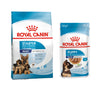 Royal Canin Maxi Starter Dry Food and Maxi Puppy Dog Wet Food Combo Exclusive Combo Royal Canin 4kg(Dry)+10x140g(Wet)