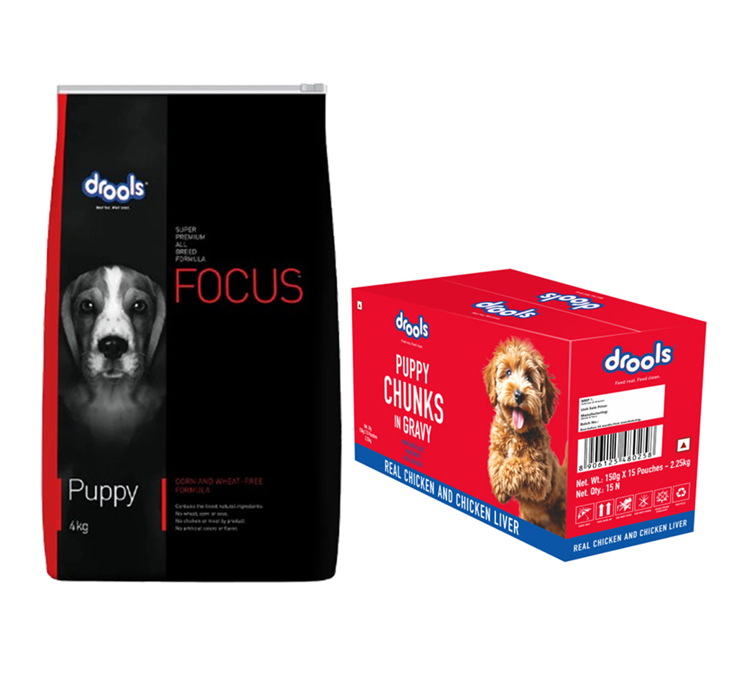 Drools Focus Super Premium Dry Food and Chicken & Chicken Liver Chunks in Gravy Puppy Dog Wet Food Combo Dogs- Dry Food Drools Focus 4kg+15x150g