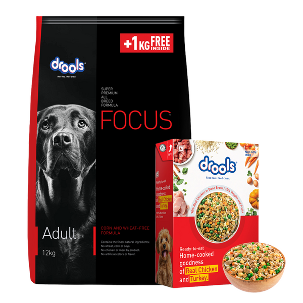 Drools Focus Super Premium Adult Dog Dry Food | Corn & Wheat Free Formula