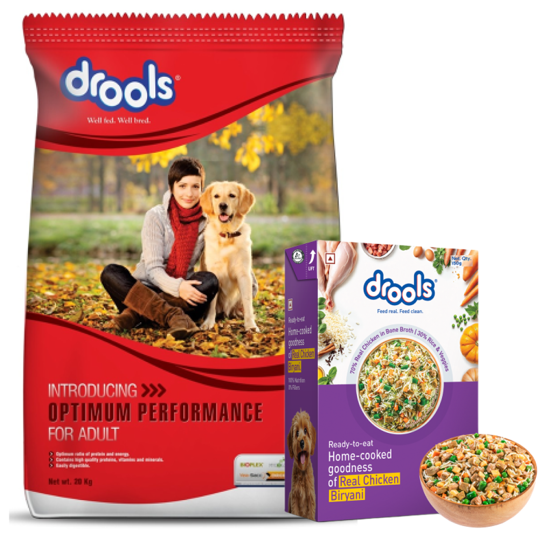 Drools Optimum Performance Adult Dog Dry Food Dogs- Dry Food Drools 20kg+150g(Fresh Food Free)