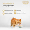 Signature Grain Zero Salmon Mousse Adult Cat Wet Food Cats-Wet Food Signature
