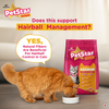 Mankind PetStar Salmon Kitten Cat Dry Food Cats- Dry food Petstar
